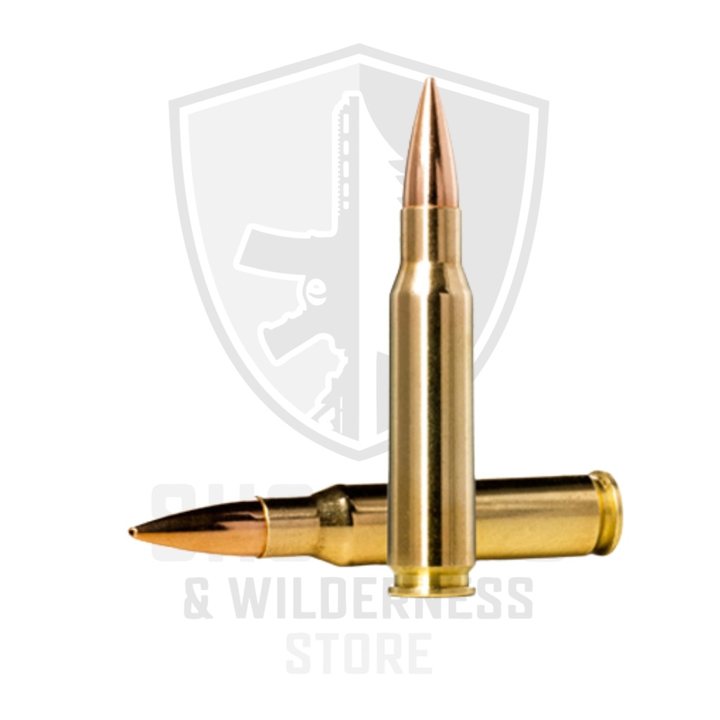 Norma Golden Target Match