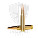 Norma Golden Target Match
