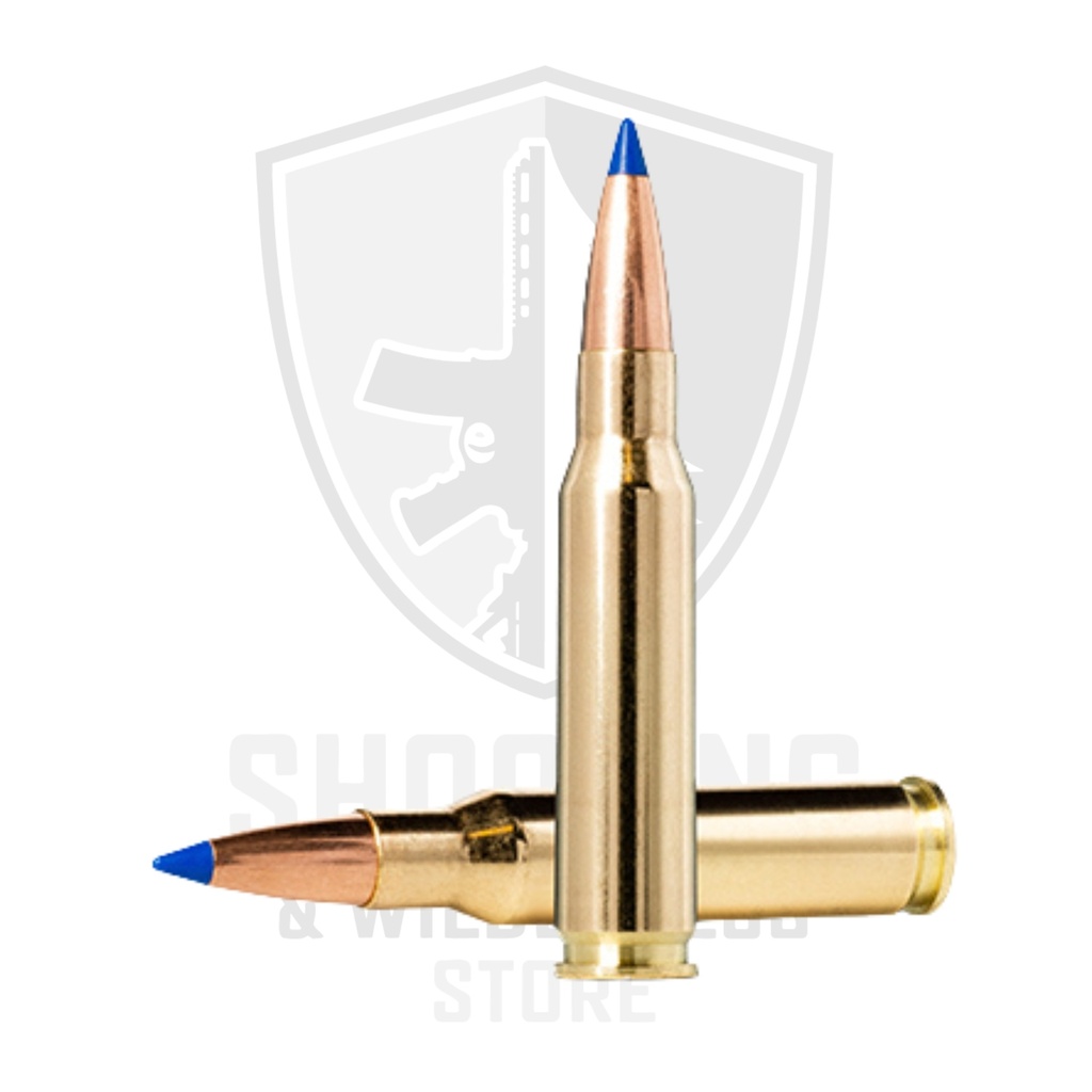 Norma Bondstrike .30-06 10.7g/165grs