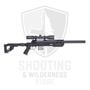 B&T SPR300
